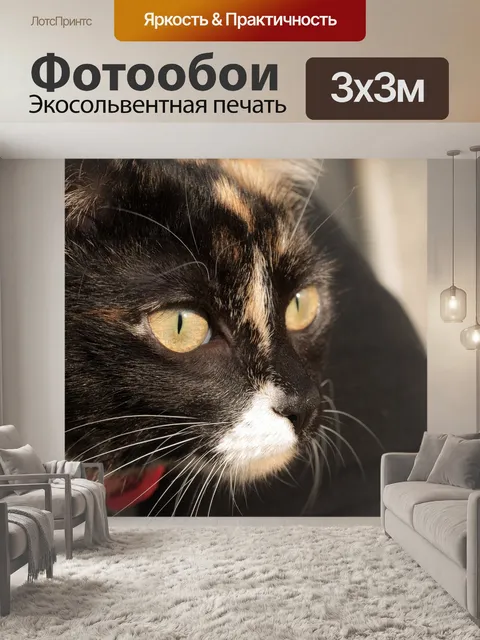 Фотообои Кошка
