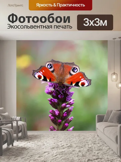 Фотообои Павлинья бабочка