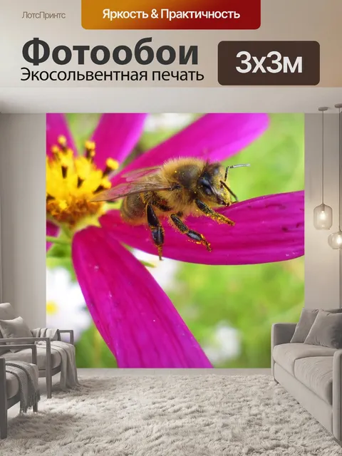 Фотообои Деревня