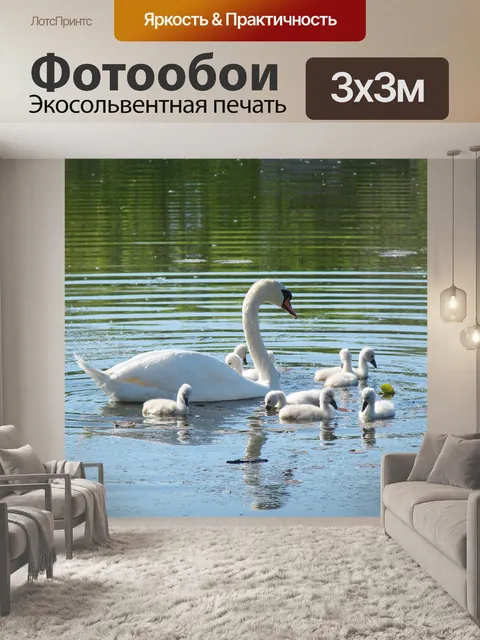 Фотообои Лебедь с маленькие лебеди