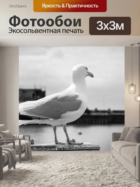 Фотообои Чайки в море
