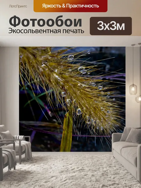 Фотообои Капли воды на нечеткой установке