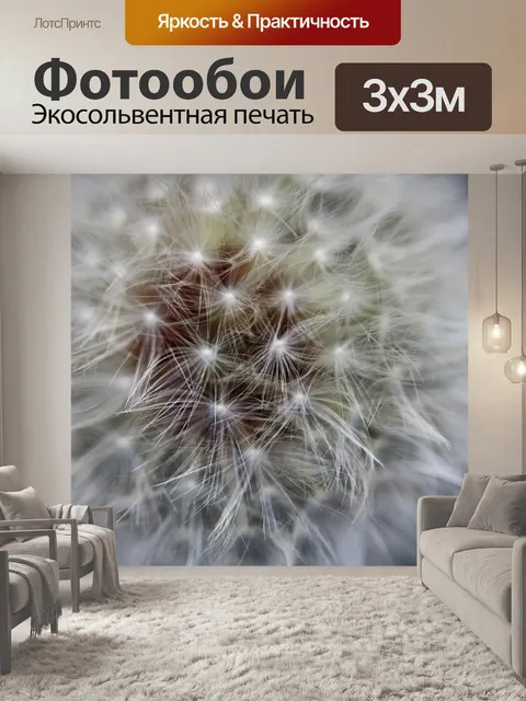 Фотообои близкий вид изящного одуванчика