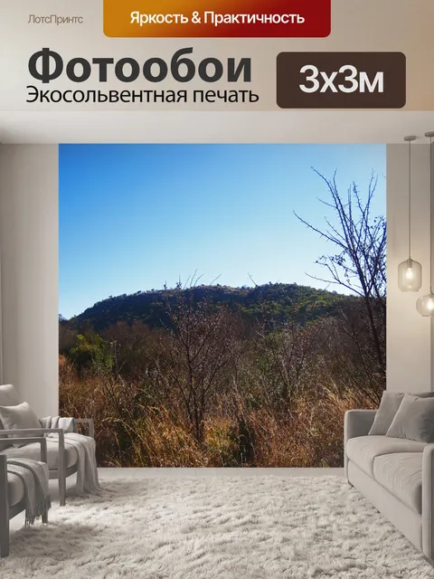 Фотообои спящие деревья и сухая трава с холмом