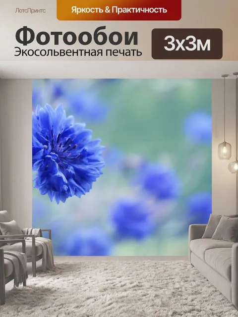 Фотообои Васильковый