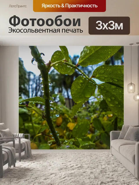 Фотообои Покрытые дождем розовые кусты