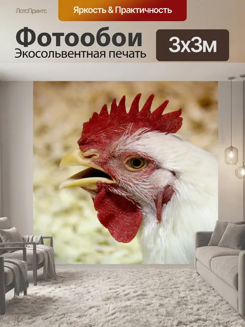 Фотообои Гребень Цыпленка