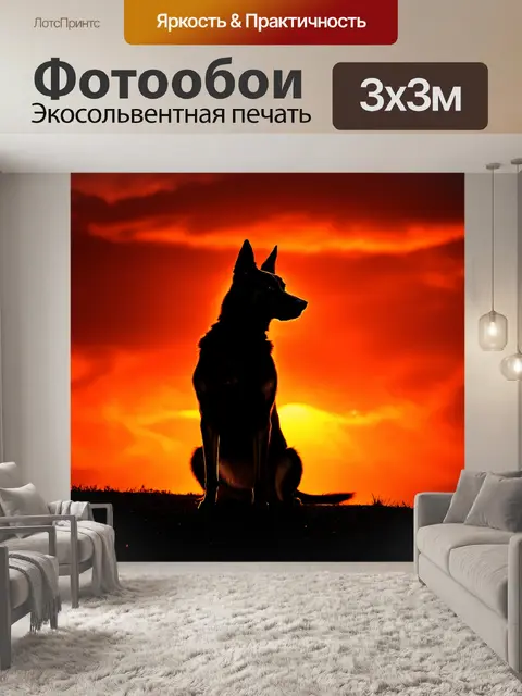 Фотообои старая немецкая овчарка на фоне заката, её силуэт вырисовывается на фоне огненно-красного неба