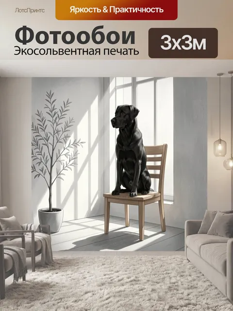 Фотообои Черный лабрадор на стуле