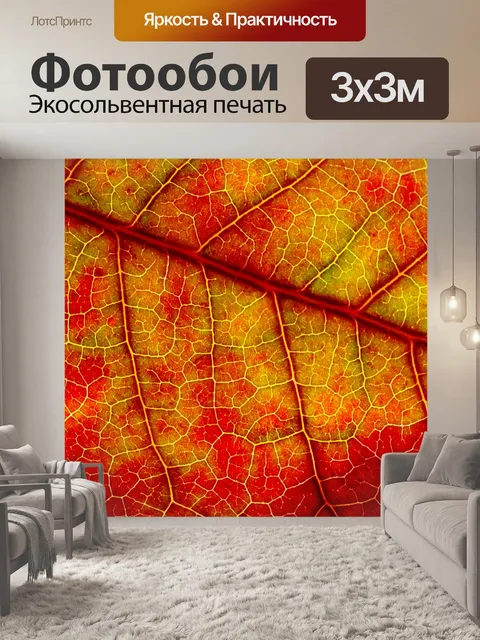 Фотообои Осенняя листва лист макросъемка