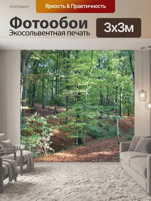 Фотообои Осень Вудс