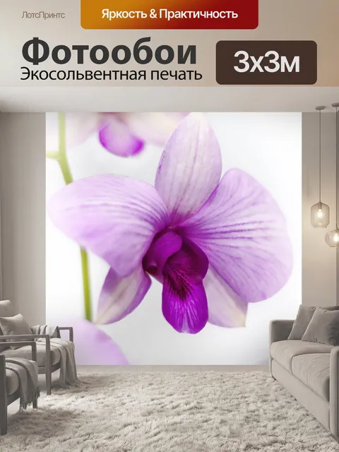 Фотообои Орхидея