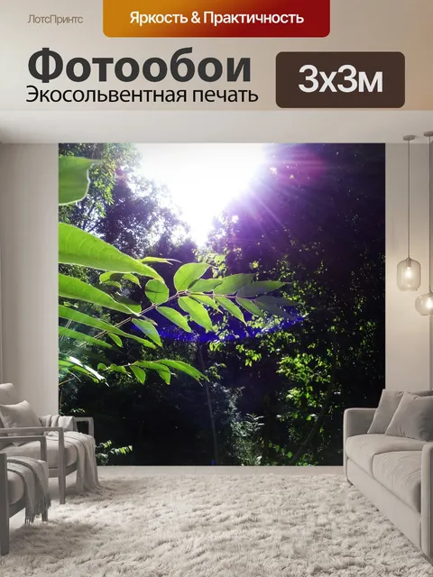 Фотообои Лес
