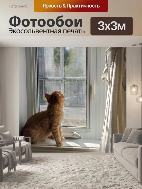 Фотообои Окно
