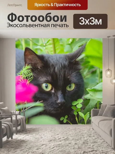 Фотообои Кошка