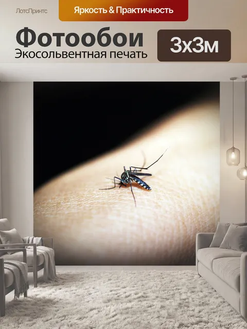Фотообои Комар