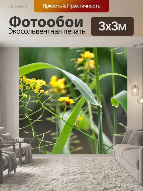 Фотообои Божья коровка