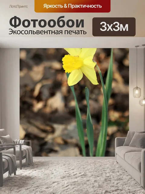 Фотообои Один желтый нарцисс в листьях