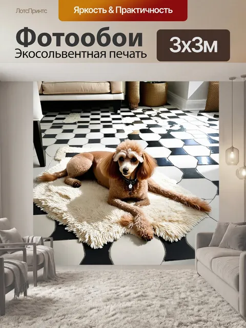 Фотообои уютный дом с черно-белыми плитками на полу, где пудель расслабляется на мягком ковре