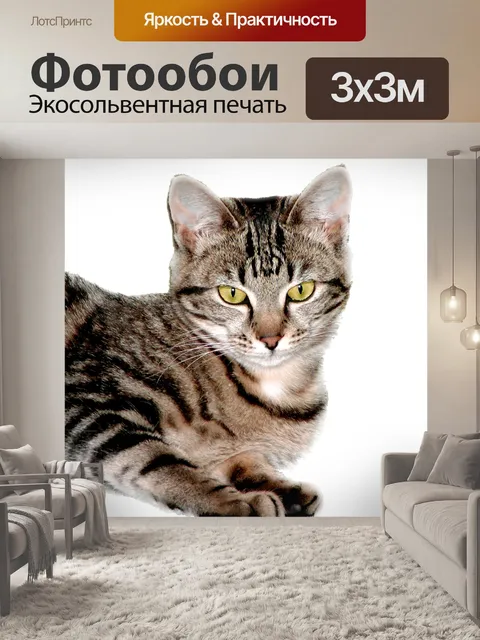 Фотообои Живопись полосатый кот