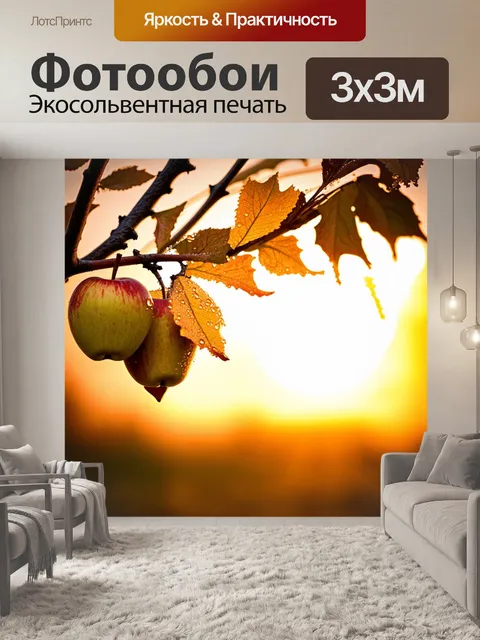 Фотообои увядшие листья яблони, покрытые росой, на фоне яркого заката