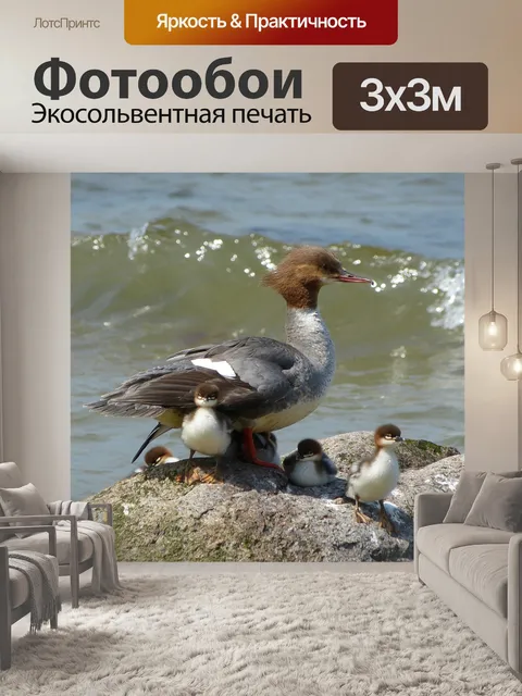 Фотообои Балтийское море