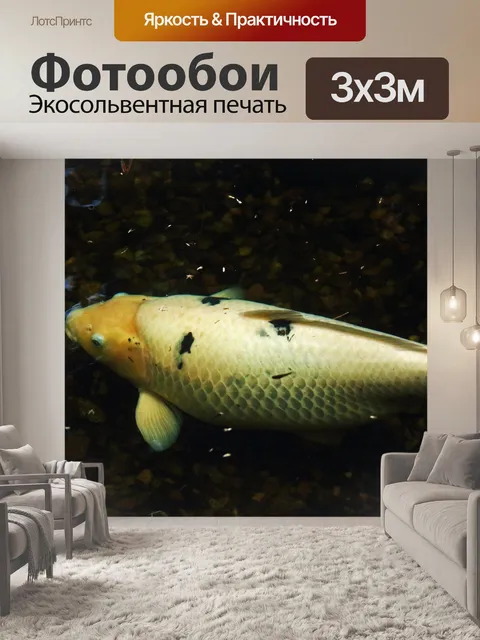 Фотообои большая белая рыба кои в пруду