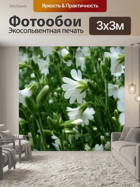 Фотообои Белые цветки