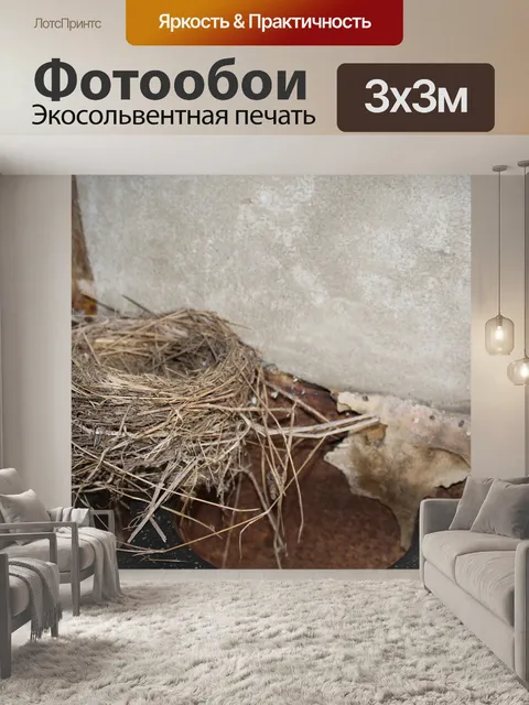 Фотообои Птичье гнездо