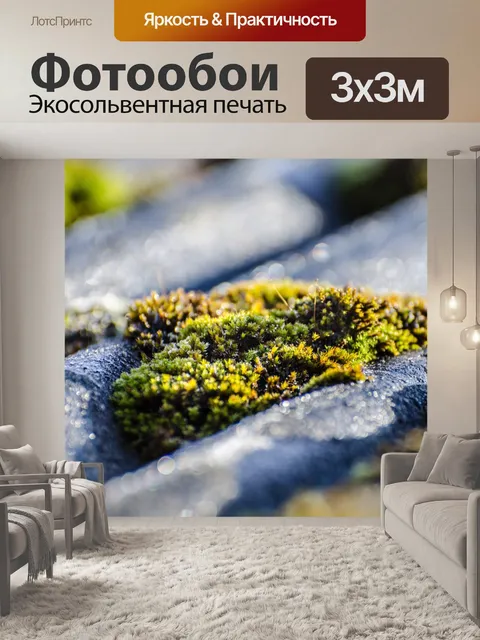 Фотообои Мох
