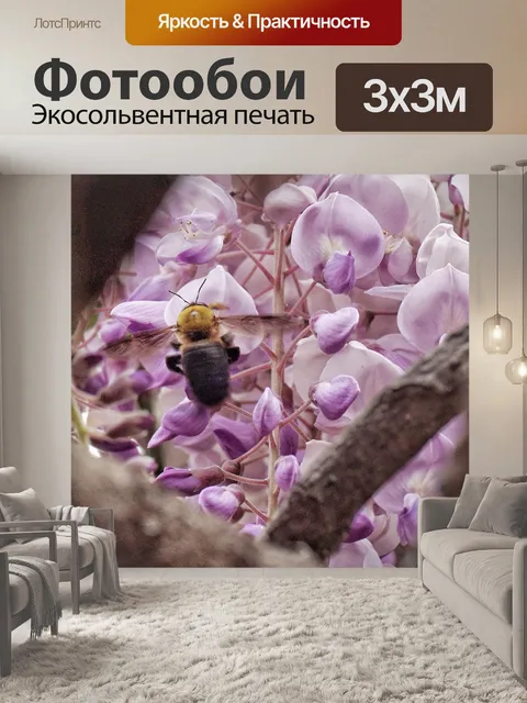 Фотообои Пчела