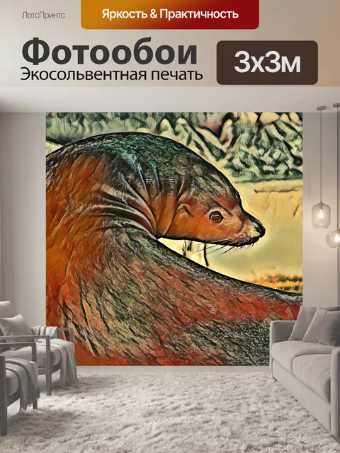 Фотообои тюлень, морской лев