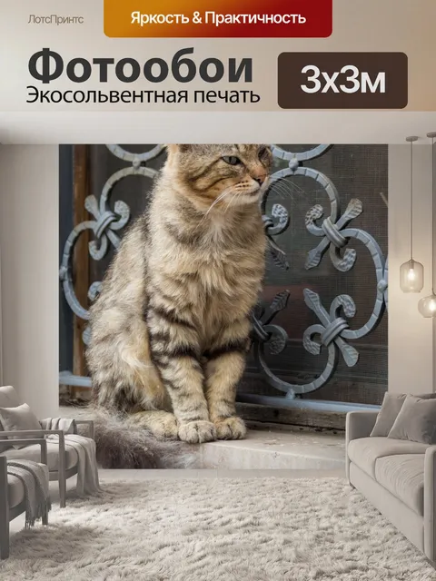 Фотообои Кот на подоконнике