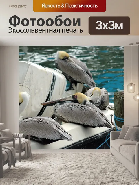 Фотообои Пеликаны