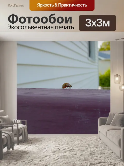 Фотообои Божья коровка