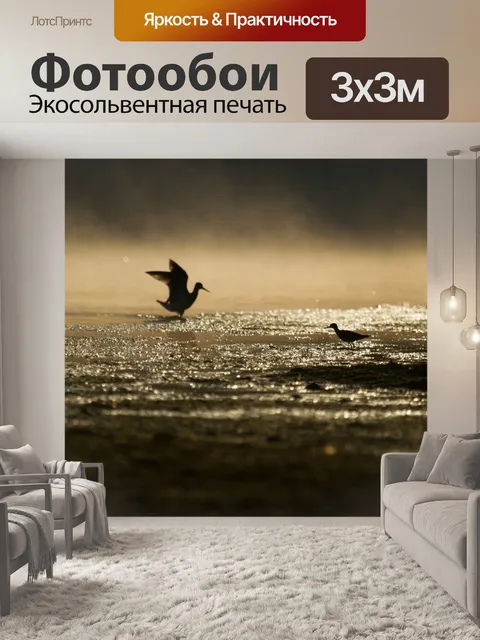 Фотообои Птицы