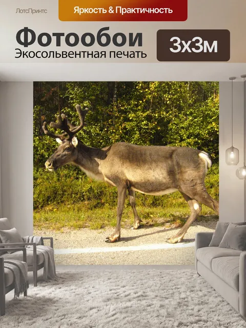 Фотообои Олень