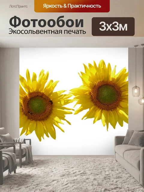 Фотообои Подсолнухи