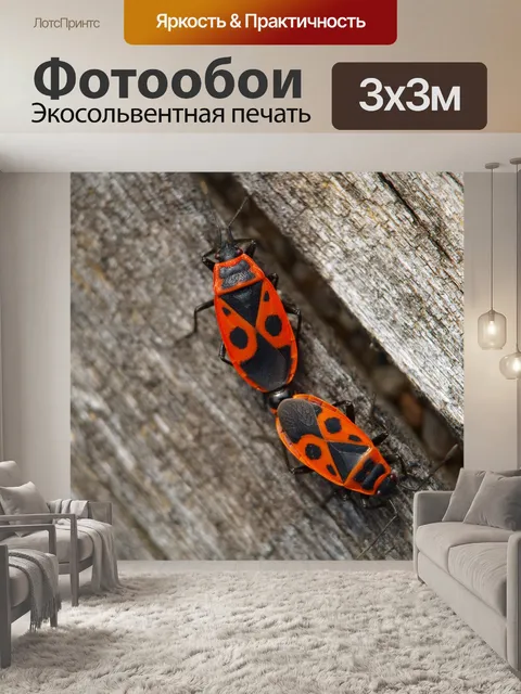 Фотообои Fire bug