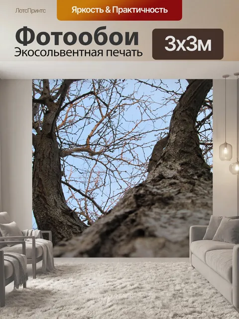 Фотообои Дерево Перспектива 18