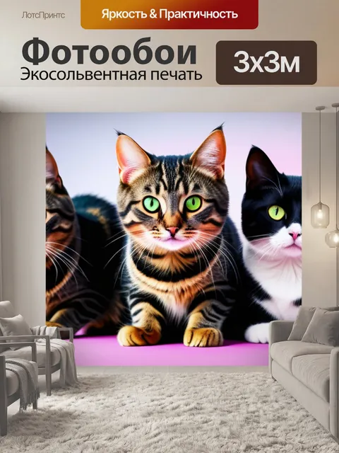 Фотообои с котиками смешной