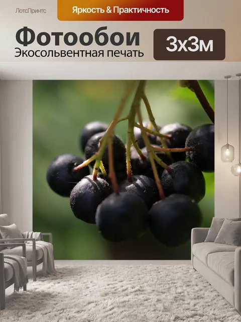 Фотообои Flora