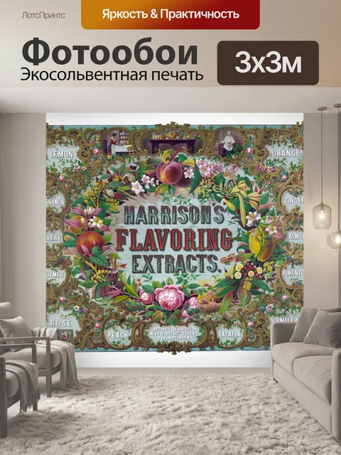 Фотообои Необычные цветочные старинные рамы (2)