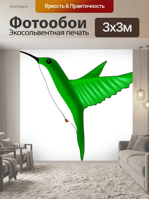 Фотообои Колибри