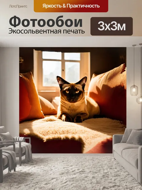 Фотообои в центре композиции находится сиамский кот с округлой головой