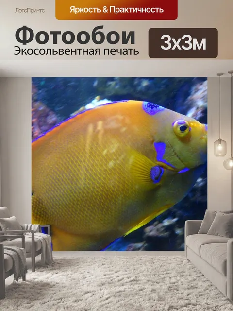 Фотообои Рыбы