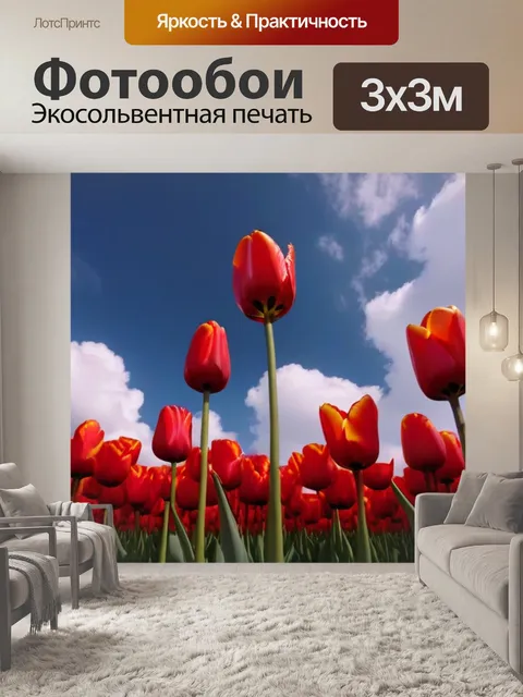 Фотообои красные тюльпаны на фоне белых облаков