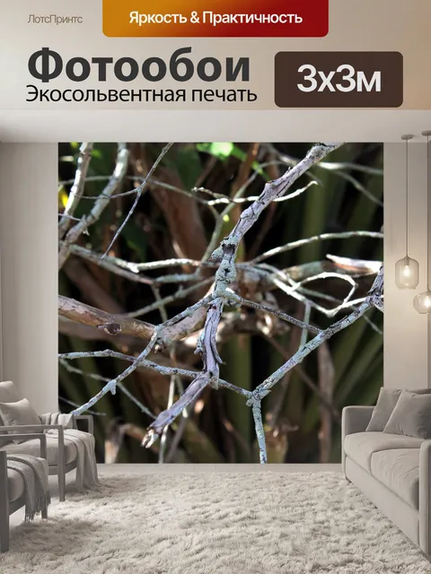 Фотообои Сучки