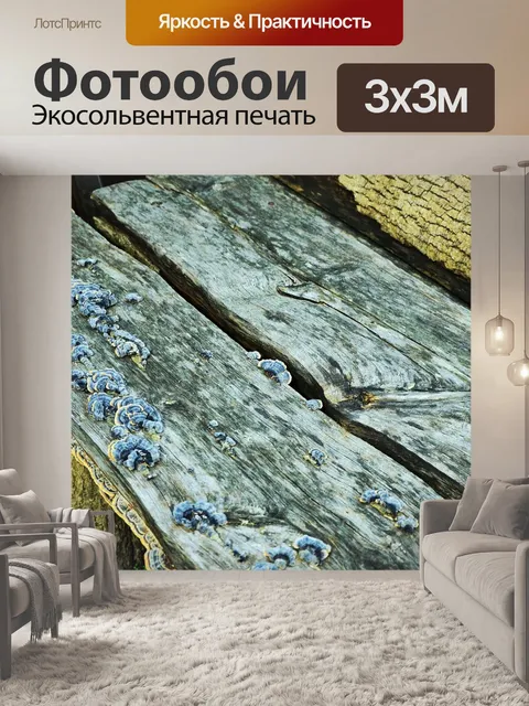 Фотообои Древесина