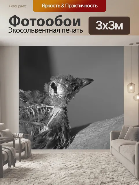Фотообои черно-белое изображение туши